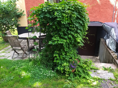 Övrig - 
