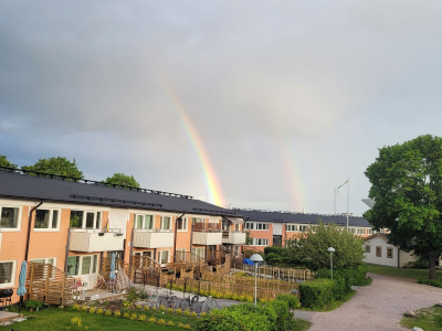 Övrig - 