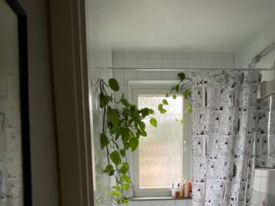 Other - Shared bathroom w shower in the flat/Delat badrum m dusch i lägenheten
