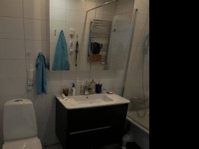 Other - The bathroom 