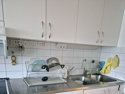 Övrig - 