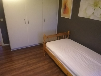 Övrig - 