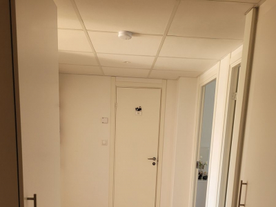 Övrig - 