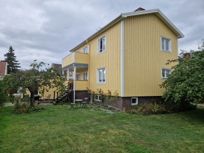 Övrig - 
