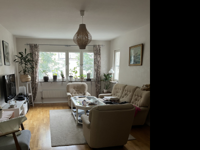 Other - Livingroom with TV